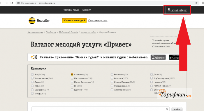 Официальный сайт privet.beeline.ru