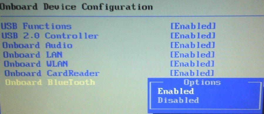 BIOS ONBOARD BLUETOOTH ENABLED