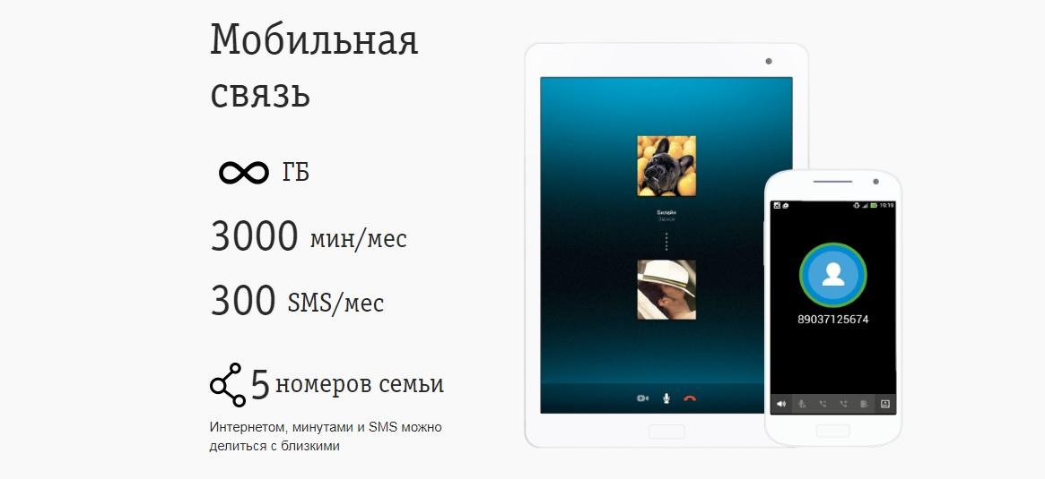 C:\Users\Геральд из Ривии\Desktop\цуоар.jpg