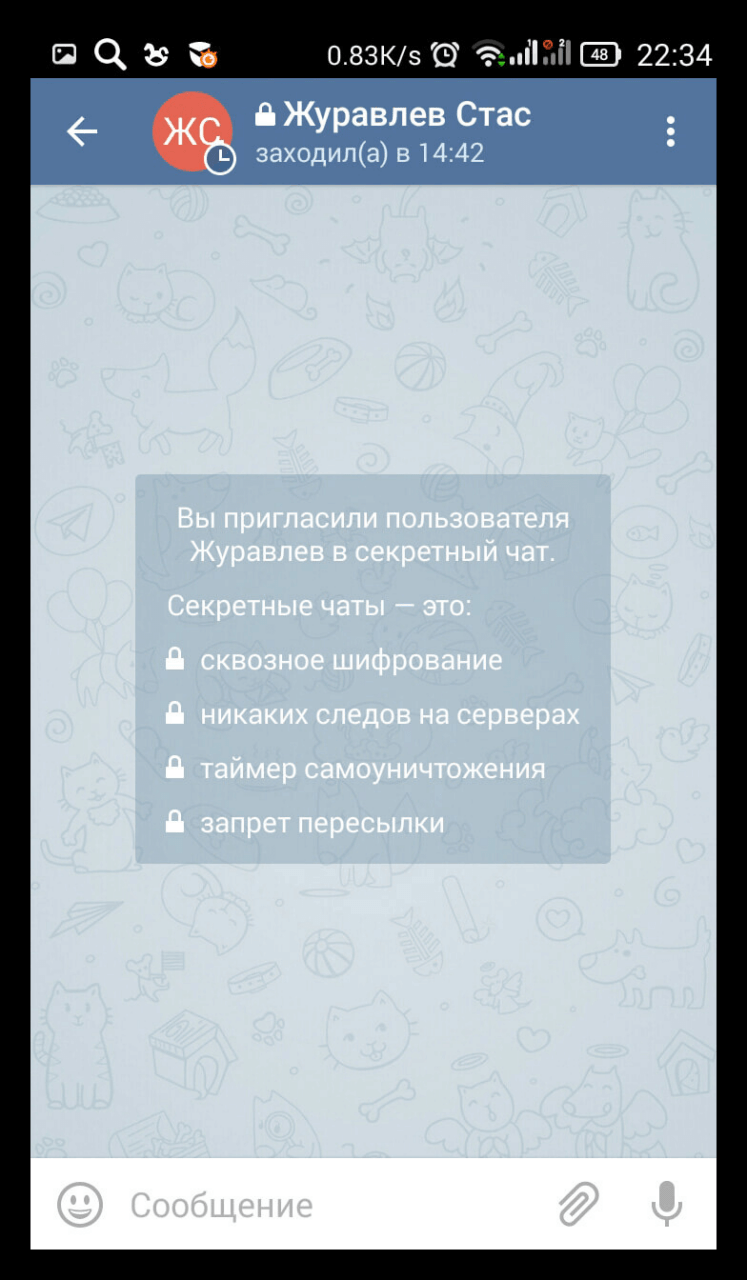 C:\Users\Геральд из Ривии\Desktop\Vid-sekretnogo-chata-Telegram.png