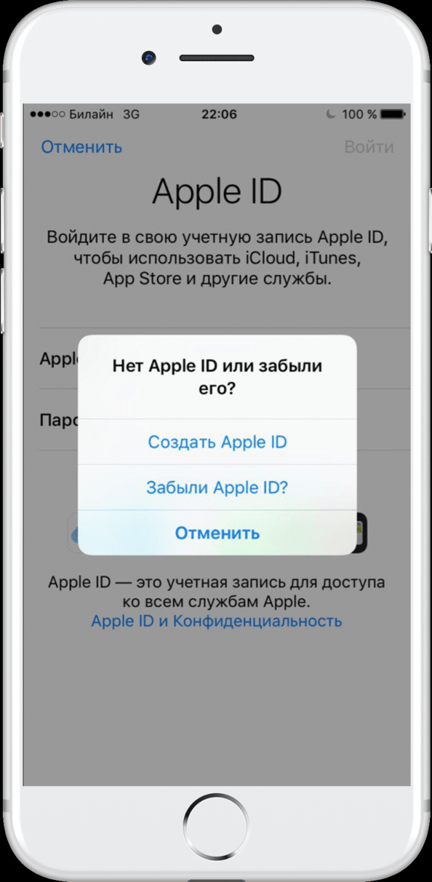 Можно ли пользоваться айфоном без apple id