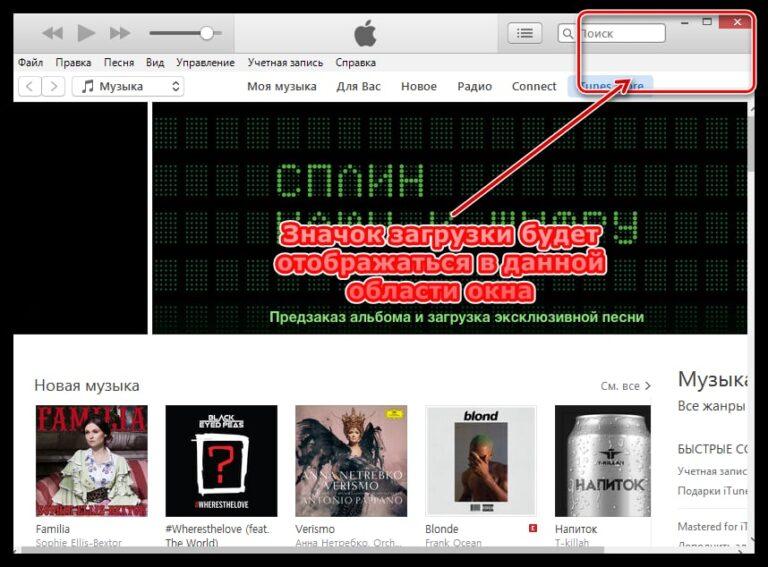 Ошибка 4000 при обновлении iphone через itunes windows 10