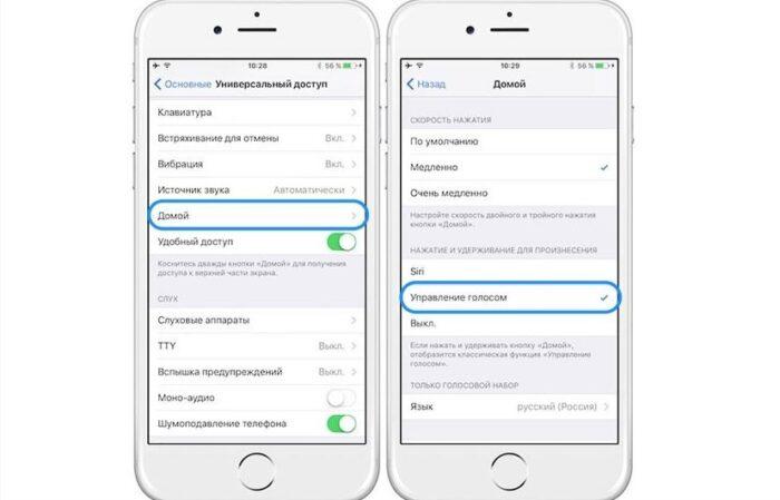 Как очистить голоса сири на айфоне