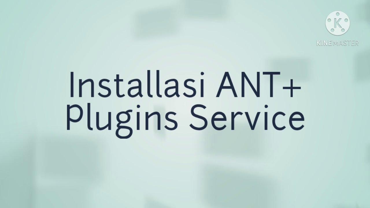 ANT Plugins Service — что это