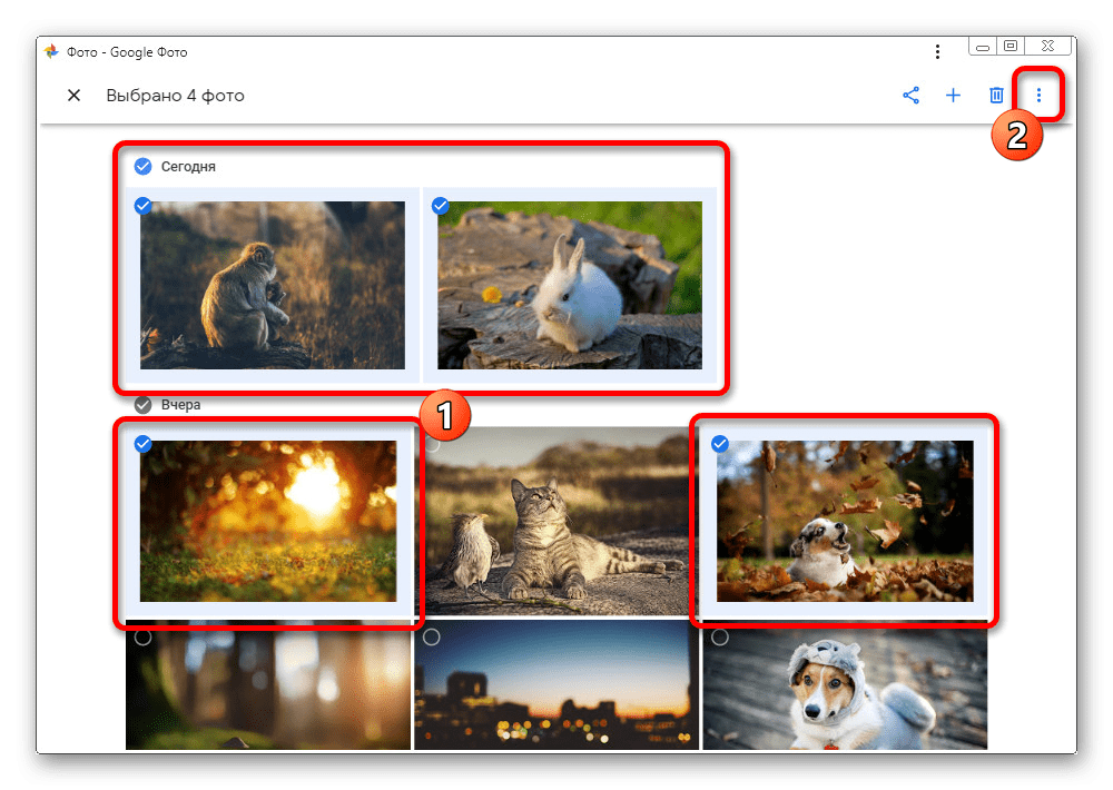 Процесс выбора изображений на веб-сайте Google Фото