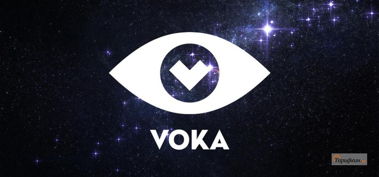 А1 вока тв. Voka ТВ. Voka TV logo. Voca лого. Voka производитель.