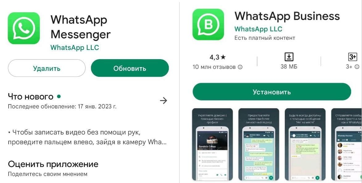 WhatsApp Business и WhatsApp Messenger