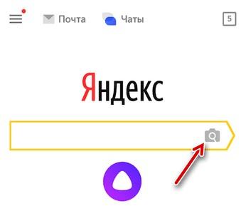 Название По Фото С Телефона В Яндексе