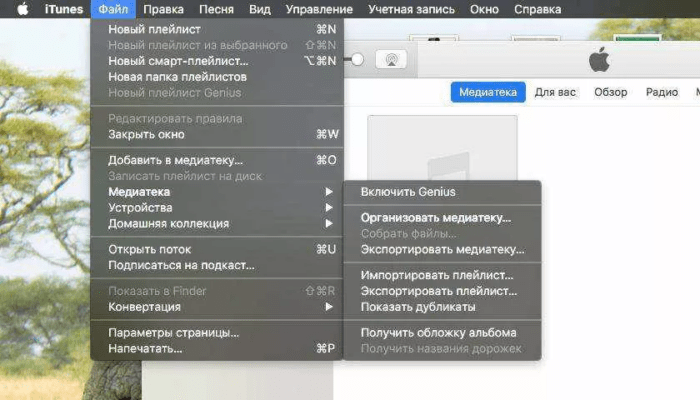 Не удается синхронизировать айфон указанное имя является дубликатом