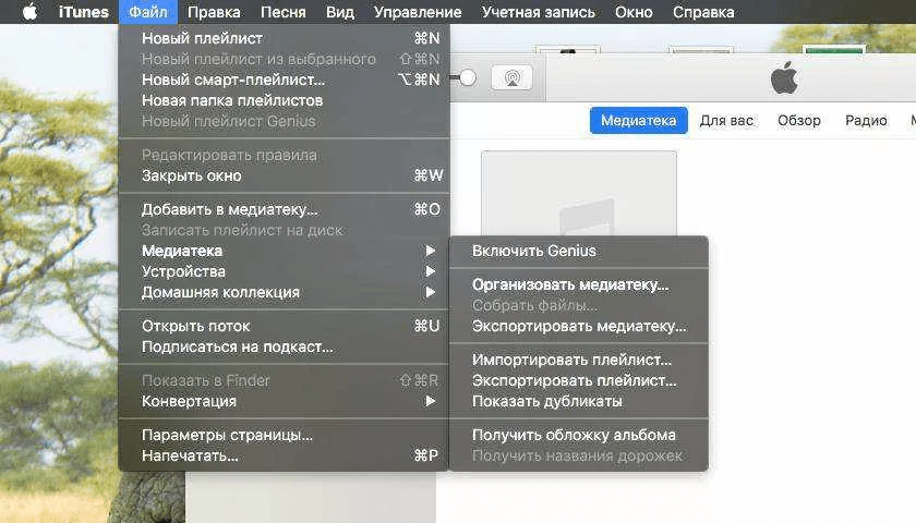 Не удается синхронизировать iPhone ошибка 54 - причины и что делать Тарифкин.ру